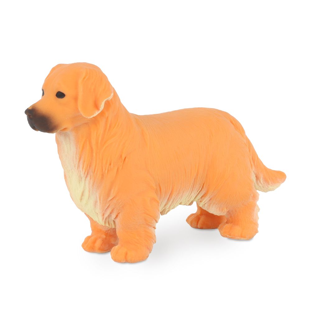 Golden Retriever Cover