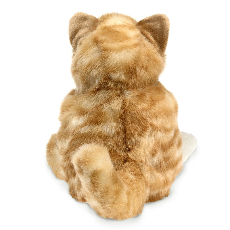 Orange Tabby Kitten Puppet Cover