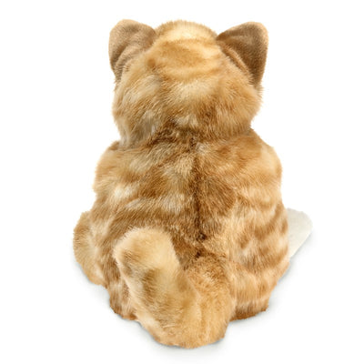 Orange Tabby Kitten Puppet Preview #2