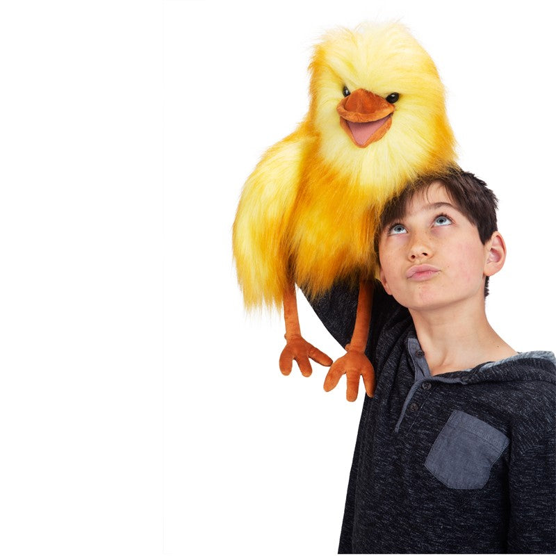 Funny Bird Puppet Cover