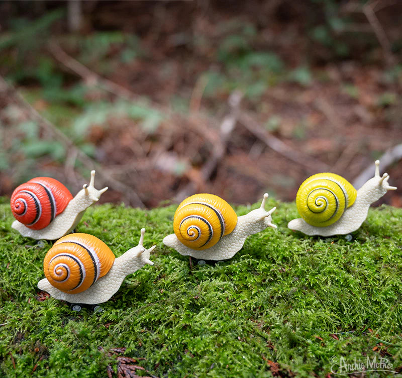 Racing Snails Cover