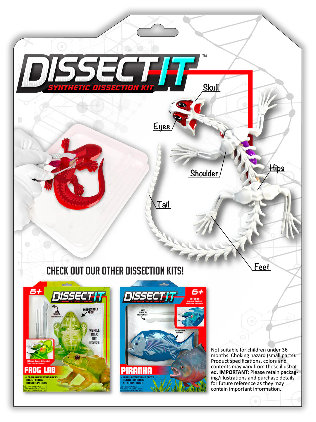 Dissect-It Salamander Lab Preview #2