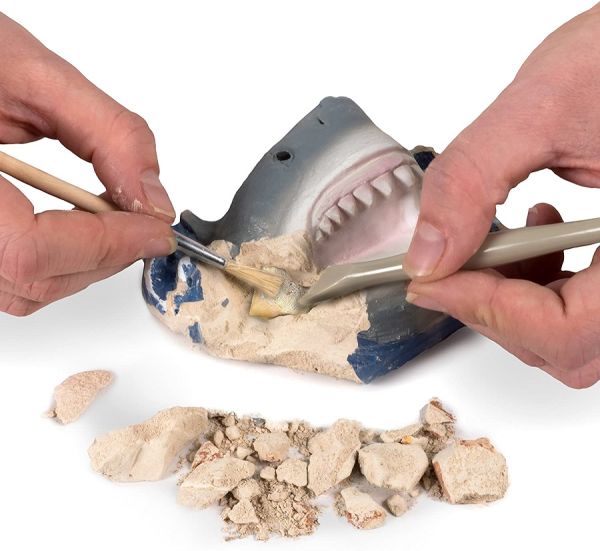 Nat-Geo Shark Tooth Dig Kit Preview #2