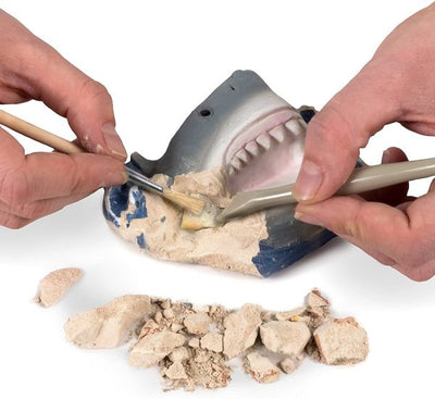 Nat-Geo Shark Tooth Dig Kit Preview #2