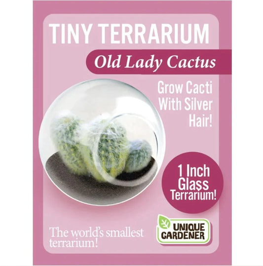 Tomfoolery Toys | Tiny Terrarium Cactus