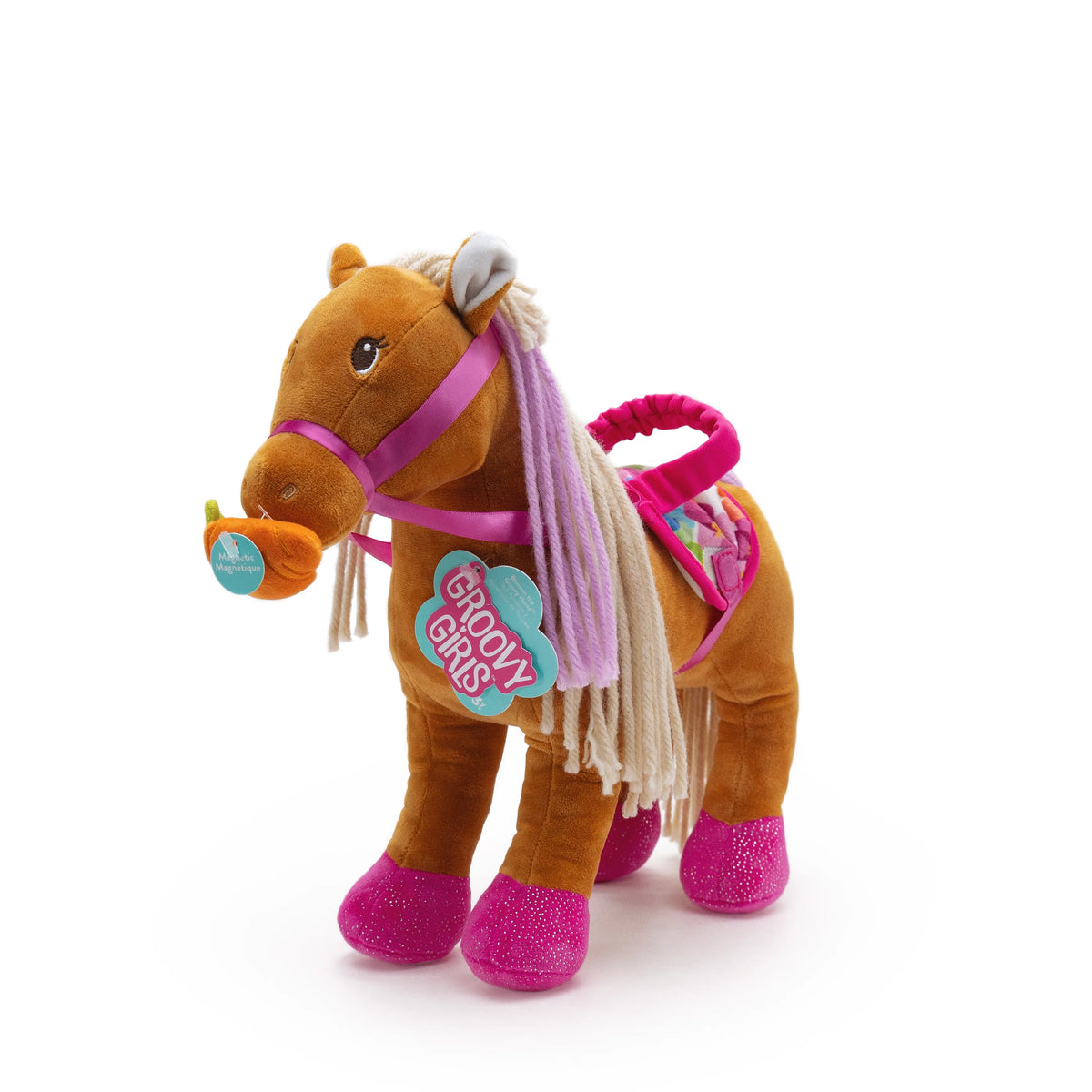 Groovy Girls: Blossom the Groovy Horse Cover