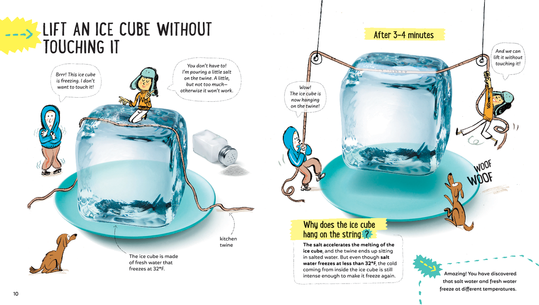 There's Science in Salt Cover