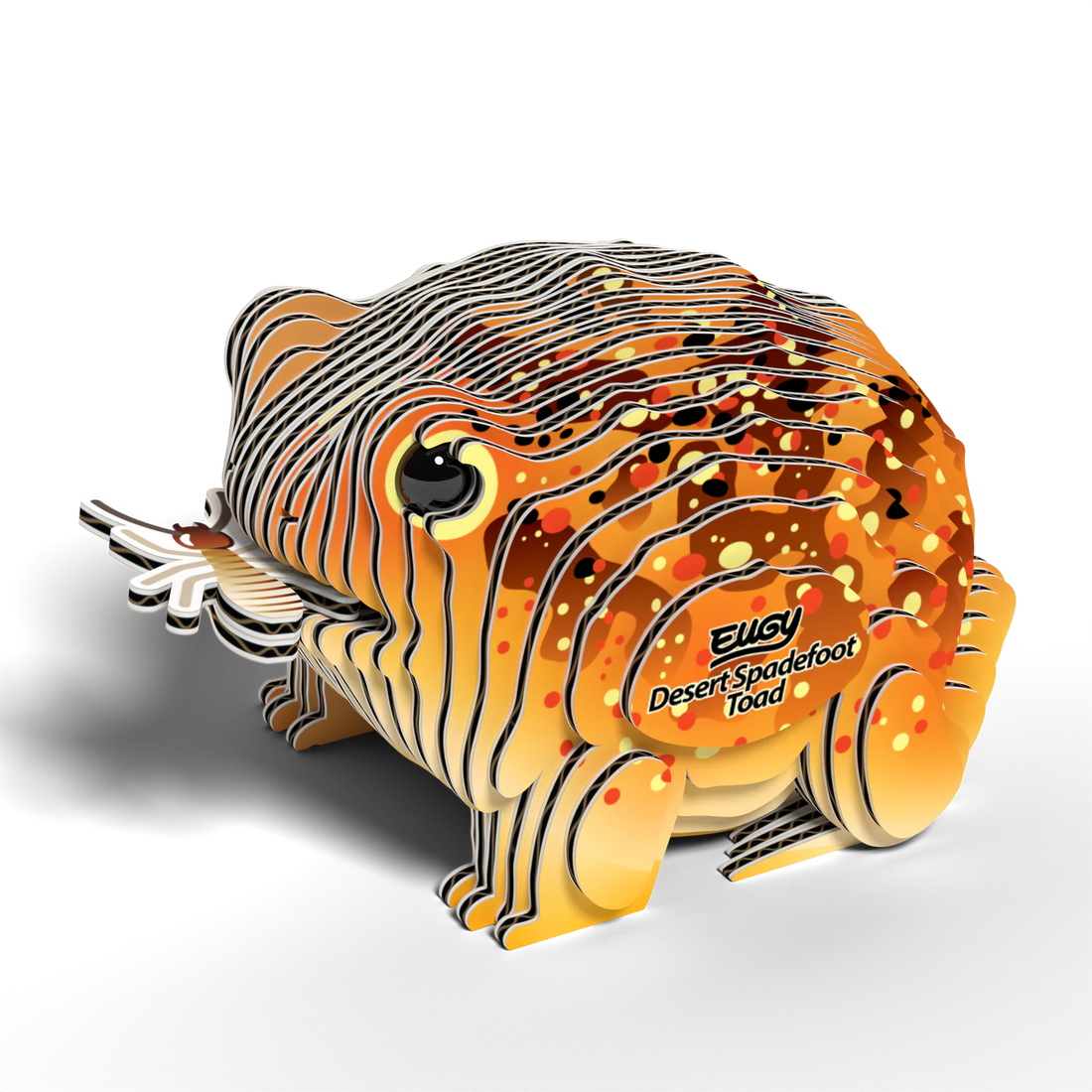 Desert Spadefoot Toad 3D Puzzle Preview #2