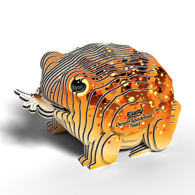 Desert Spadefoot Toad 3D Puzzle Preview #2