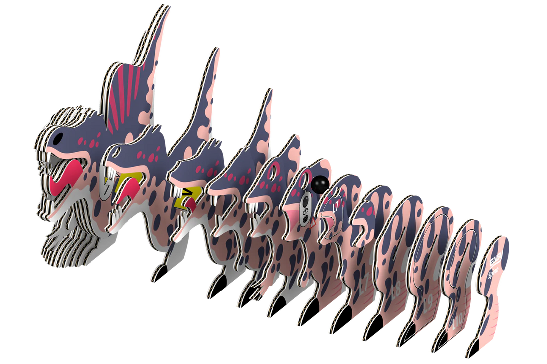 Spino 3D Puzzle Preview #3