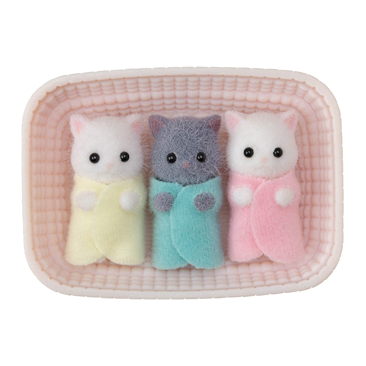 Persian Cat Triplets Cover