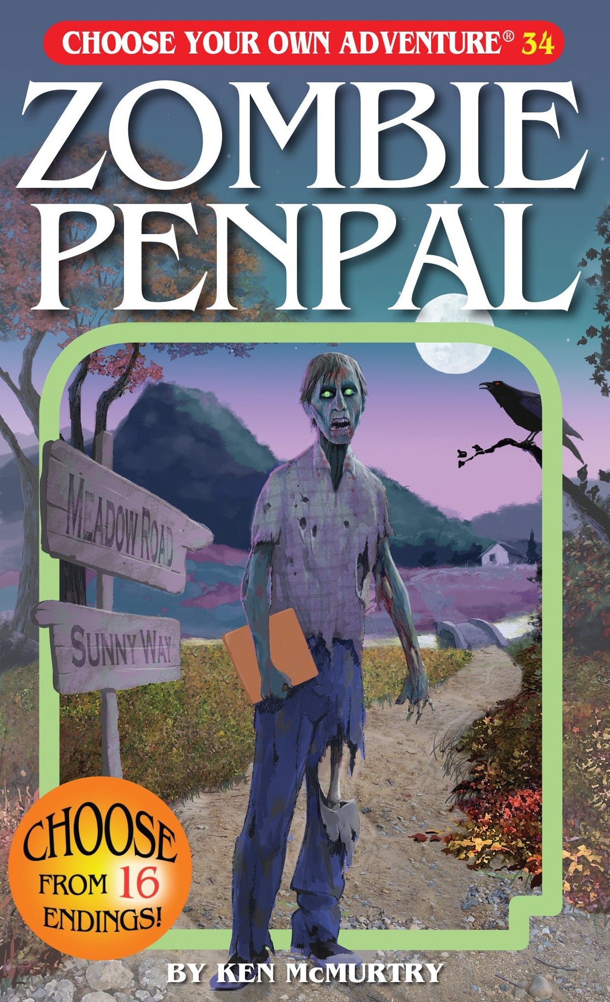 CYOA: Zombie Penpal Cover