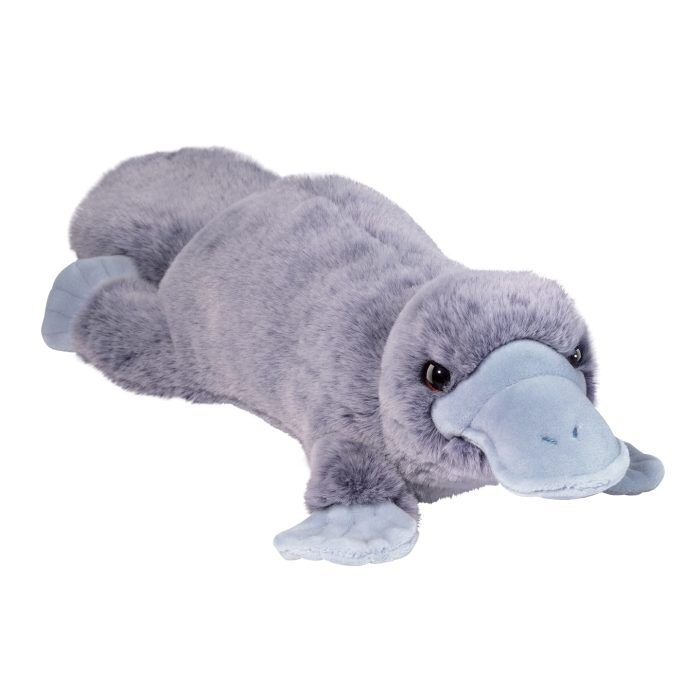 Allie Platypus Soft Cover