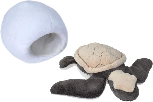 Tomfoolery Toys | Hatchling Sea Turtle