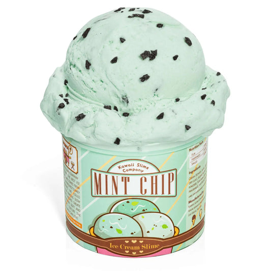 Tomfoolery Toys | Ice Cream Pint Slime: Mint Chocolate Chip