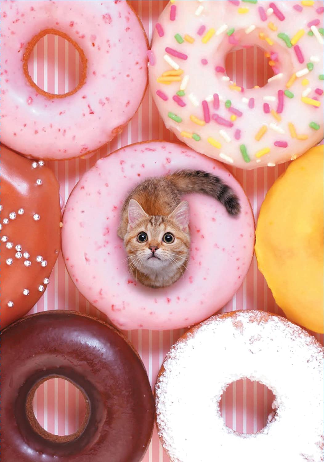 Tomfoolery Toys | Tiny Cat Flexi Journal
