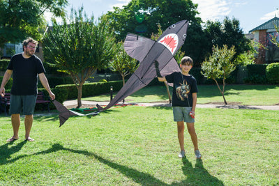Shark Kite Preview #3