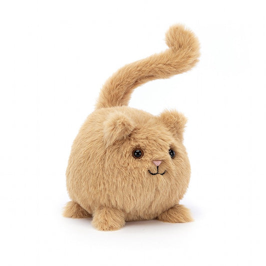 Tomfoolery Toys | Ginger Kitten Caboodle