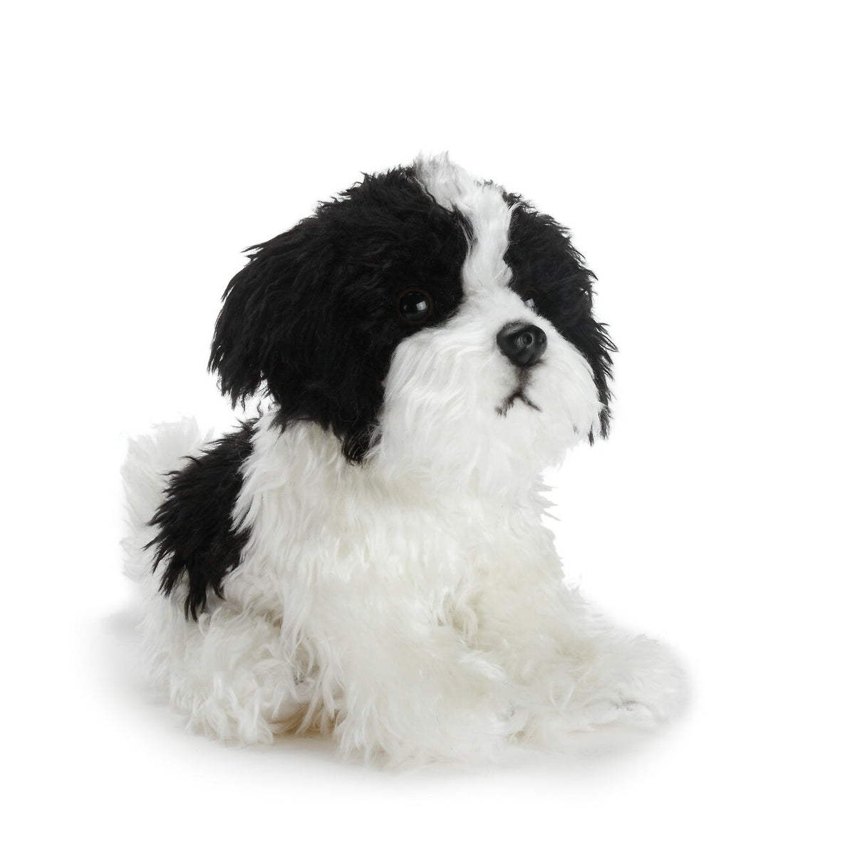 Havanese Small Cover