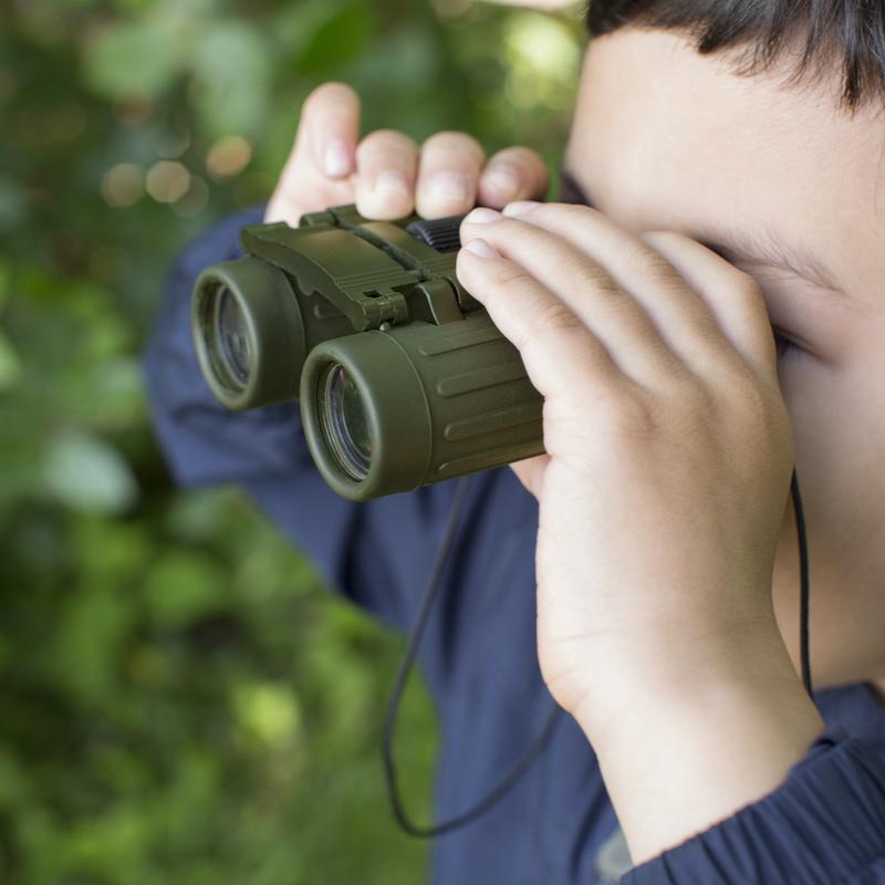 Huckleberry Binoculars Cover