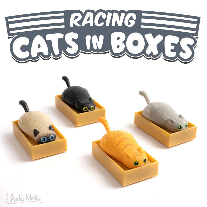 Racing Cat in a Box Cover