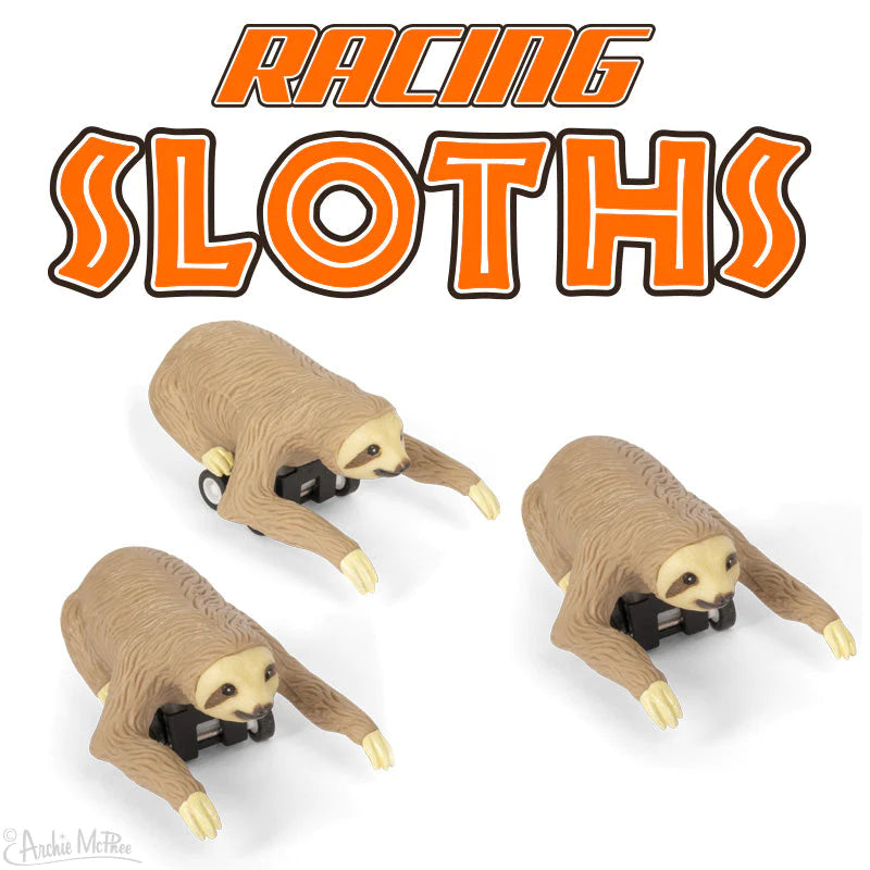 Racing Sloths Cover