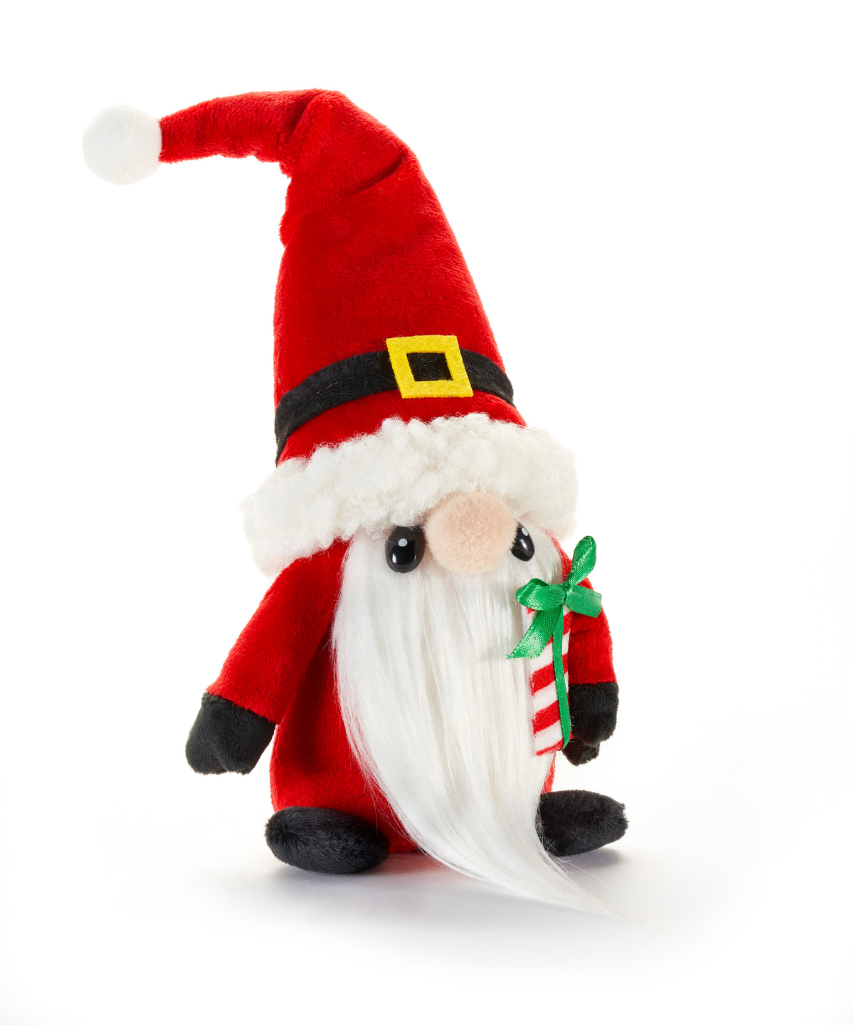 Santa Claus Gnome Nick Cover