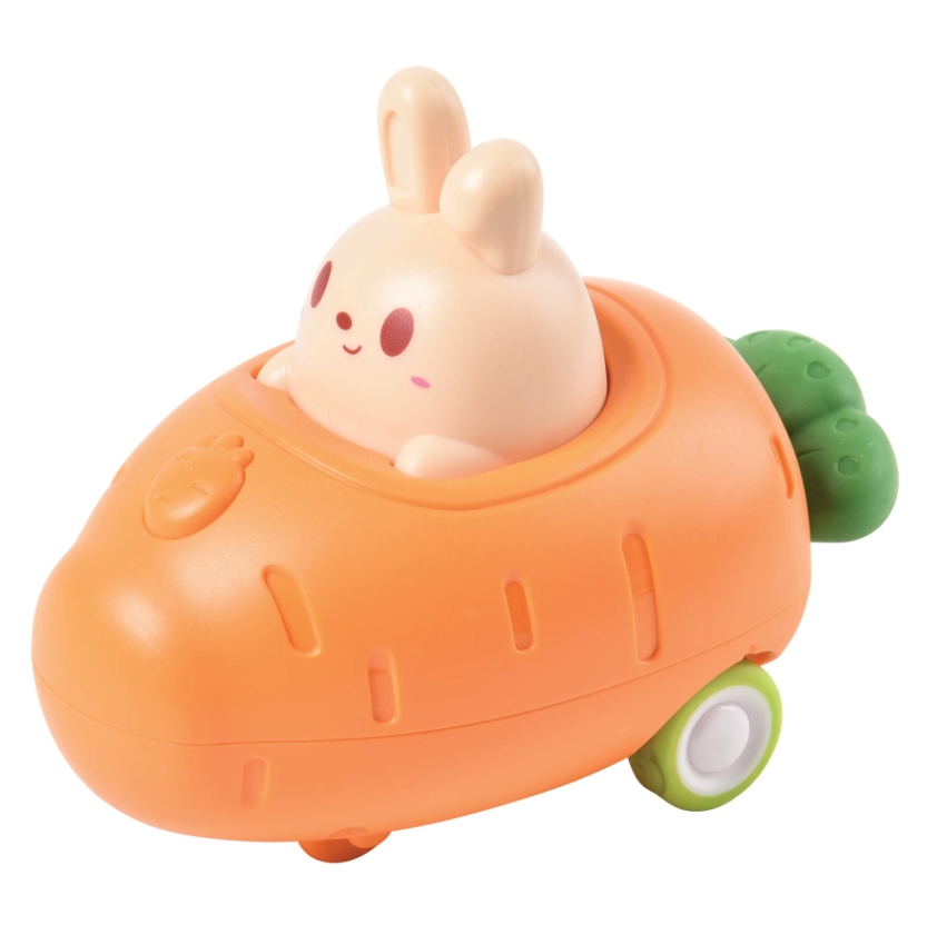 Press and Go Carrot Car Cover