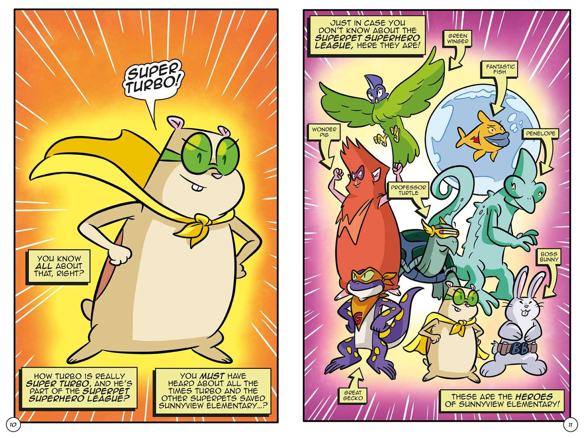 Super Turbo the Graphic Novel #6: Super Turbo vs. Wonder Pig Cover