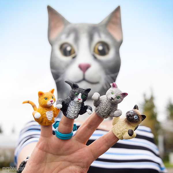 Finger Cats Cover