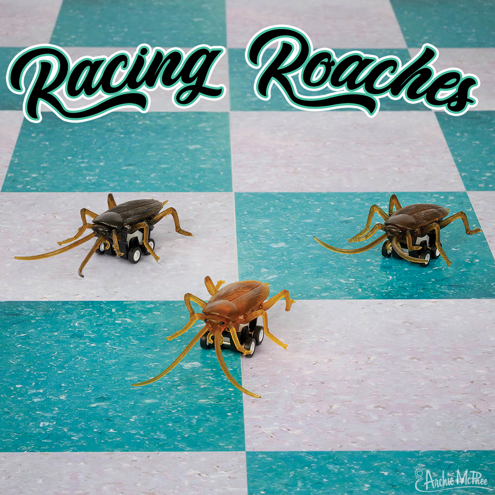 Racing Roaches Cover