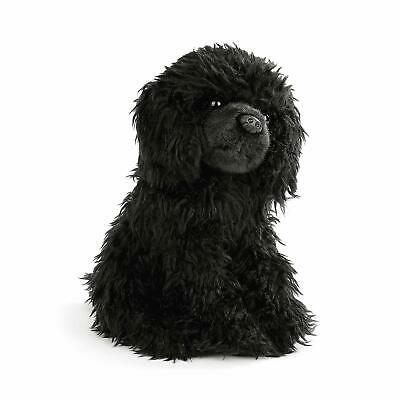 Black Poodle Small Cover