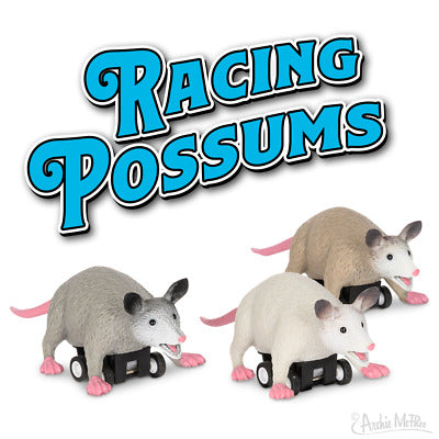 Racing Possums Cover