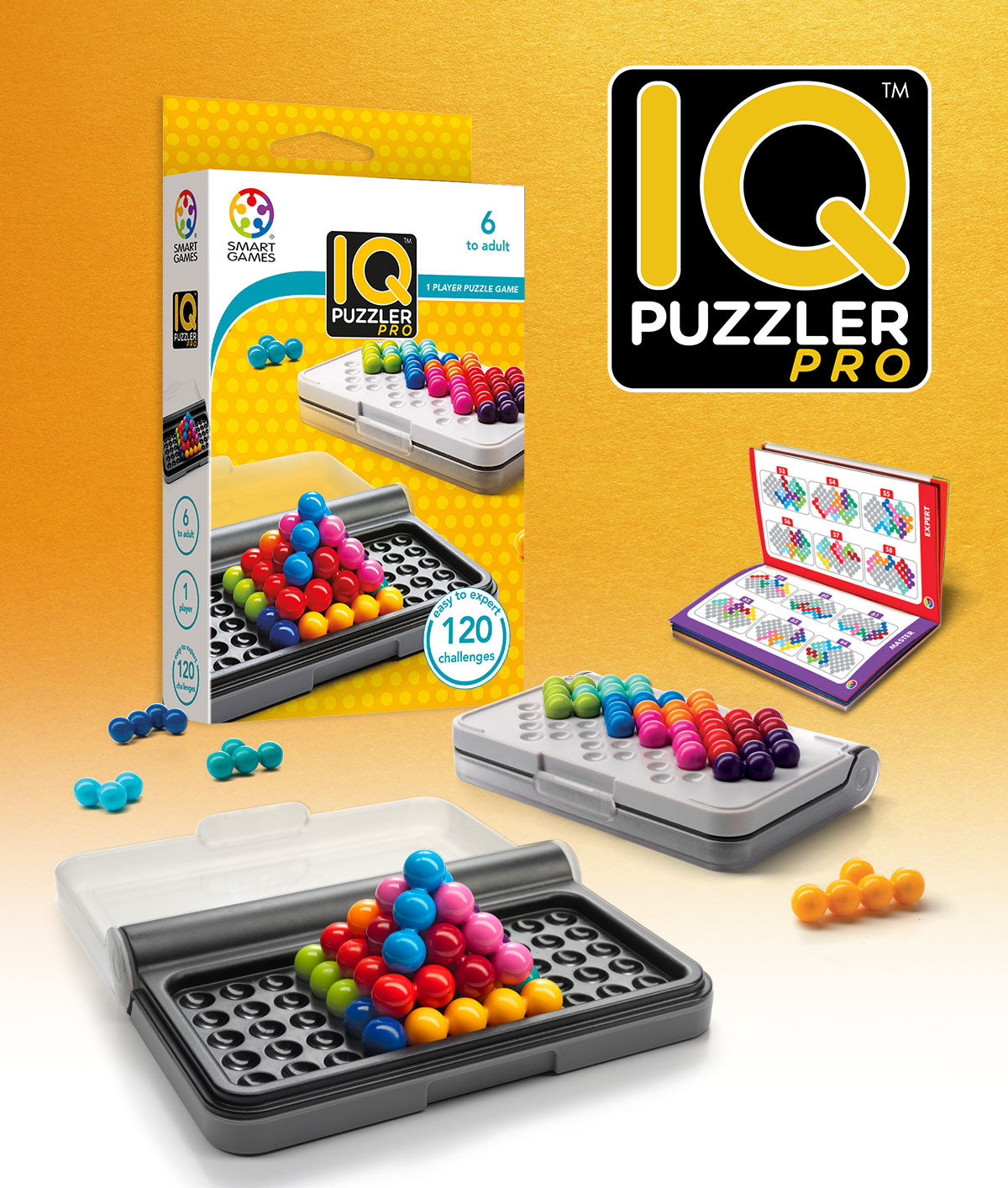 IQ Puzzler Pro Cover